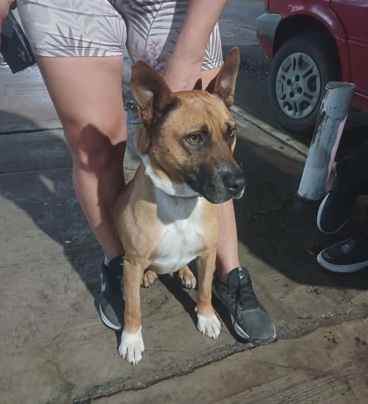 672147928_1513011317049384_153463041980938561_n