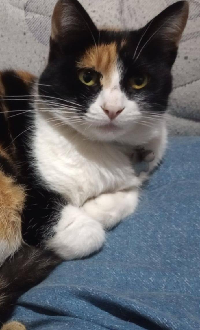 672399137_2069834757742015_3916086780979740303_n