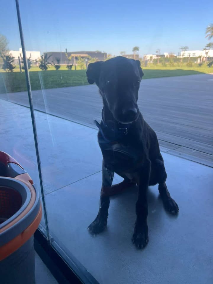 677651096_984368317579271_1384239013657094764_n