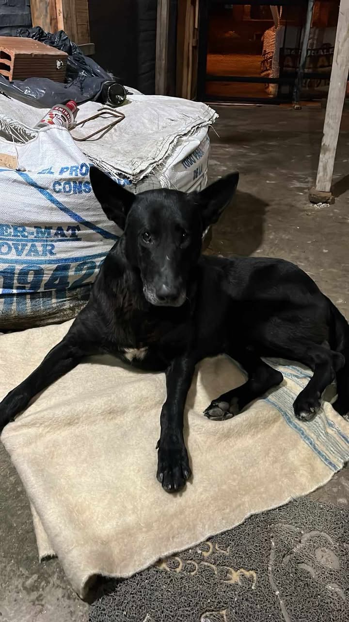 678765239_977711024796009_4241120627310348121_n