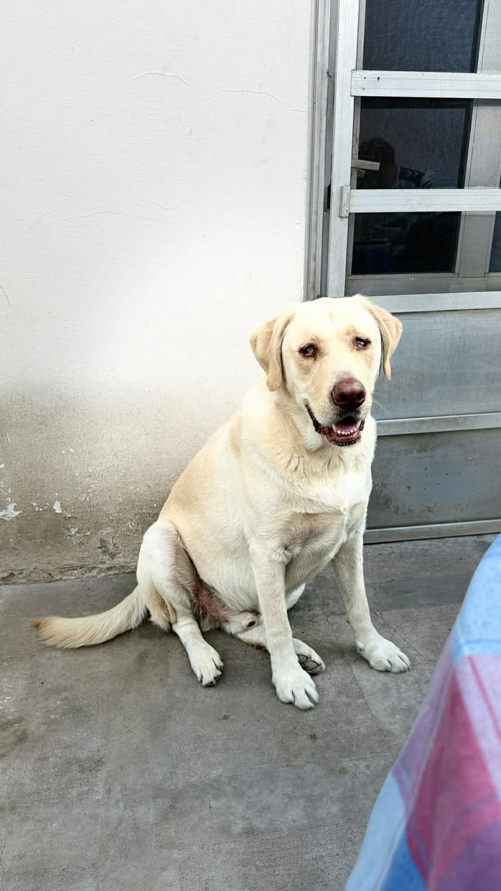 679015929_26586020961046935_3933397956756167324_n