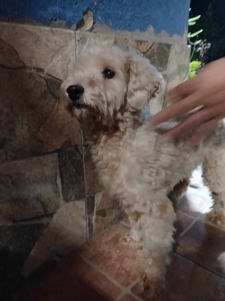 683085234_1590555372436282_250137506333680902_n