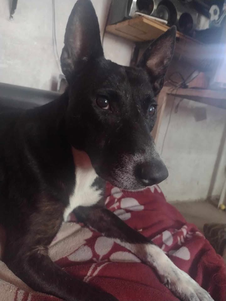 684303756_26604879932526702_2282584380477883759_n