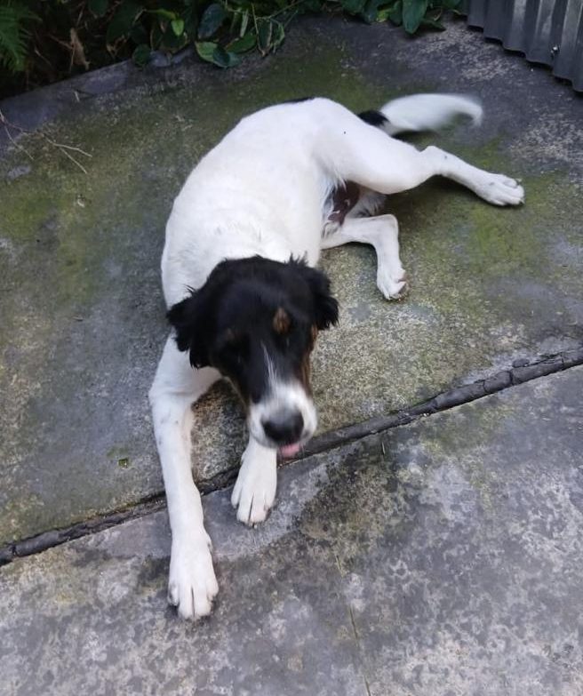 94656aa7-9b57-4dfc-b428-81690284b5a2