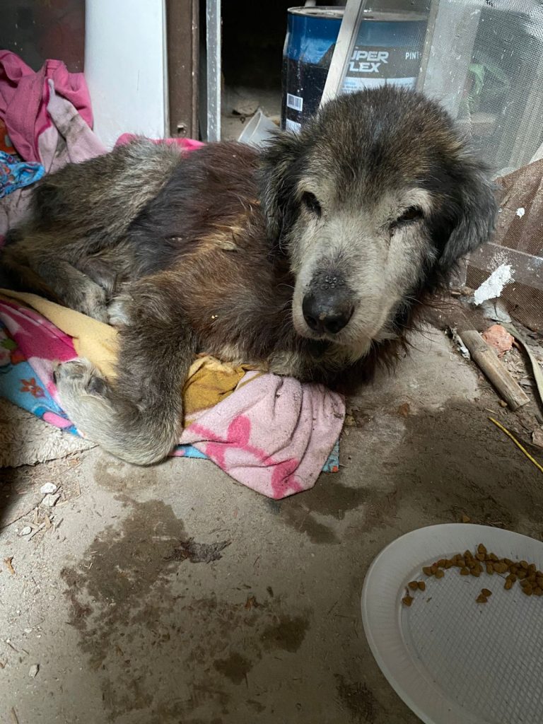 WhatsApp Image 2026-04-07 at 12.34