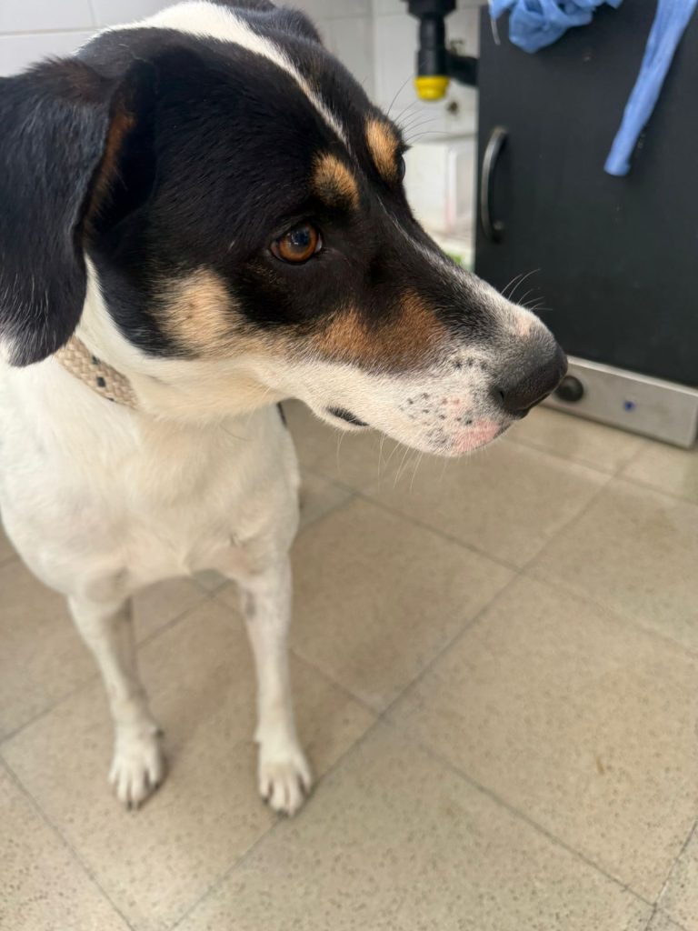 WhatsApp Image 2026-04-09 at 09.44