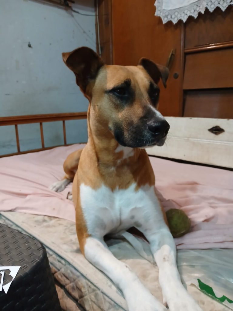 WhatsApp Image 2026-04-09 at 13.07