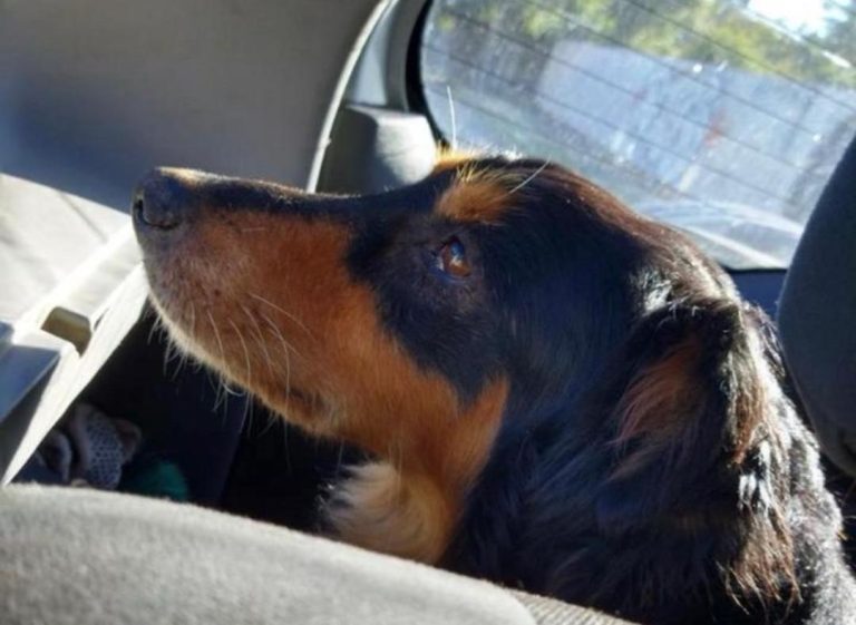 WhatsApp Image 2026-04-10 at 14.18.00