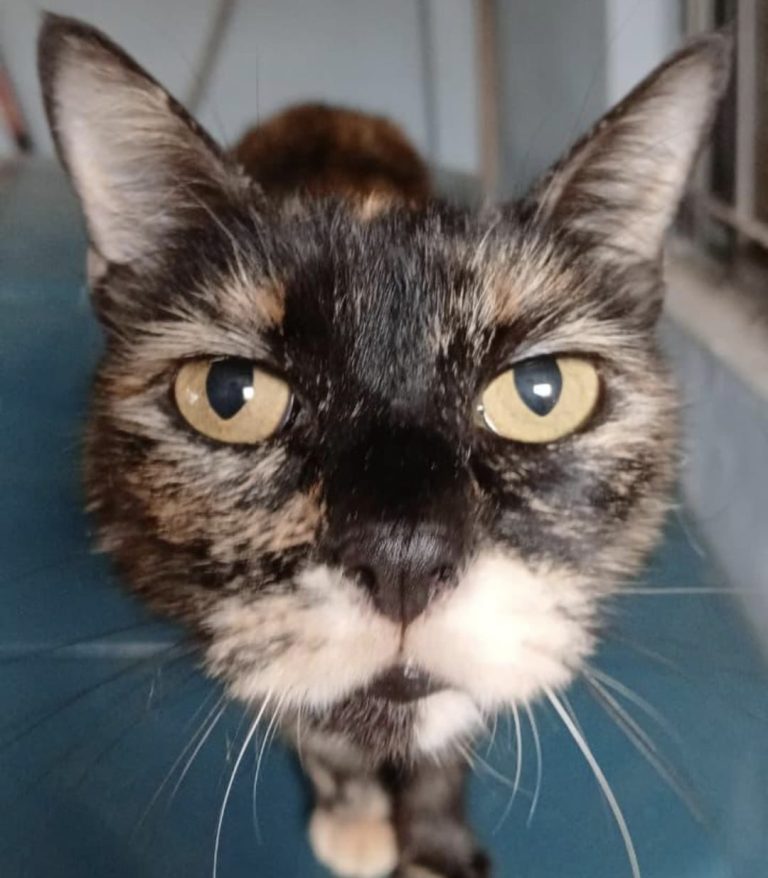 WhatsApp Image 2026-04-14 at 12.19