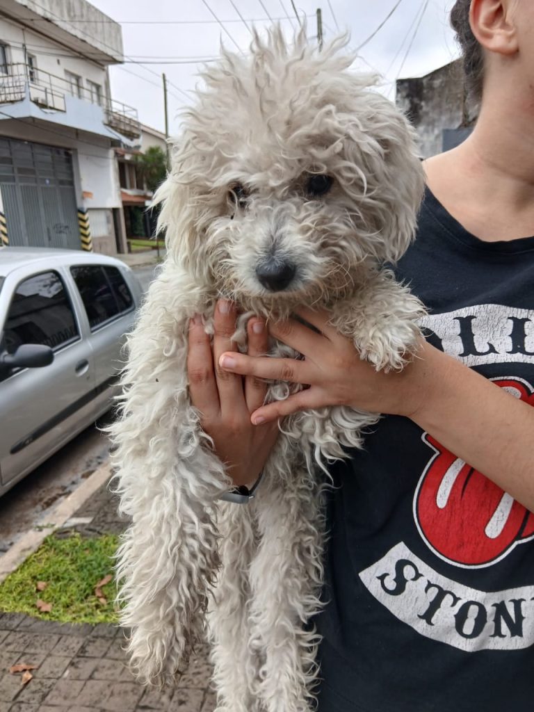 WhatsApp Image 2026-04-15 at 13.23