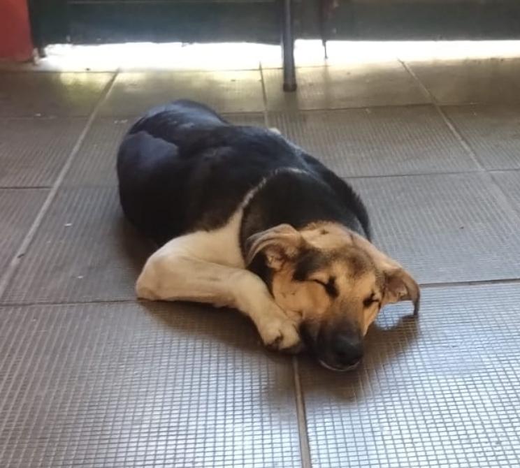 WhatsApp Image 2026-04-22 at 09.59