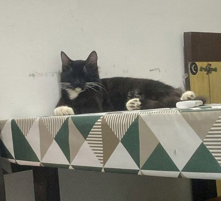 WhatsApp Image 2026-04-22 at 10.12