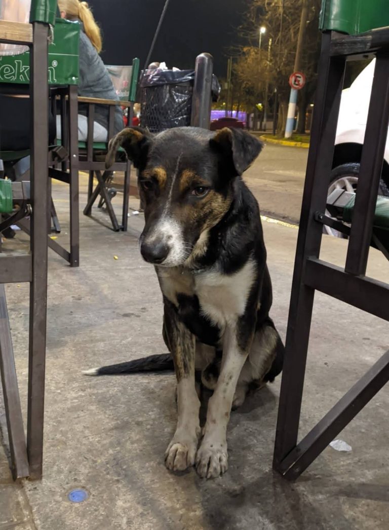 WhatsApp Image 2026-04-22 at 10.21