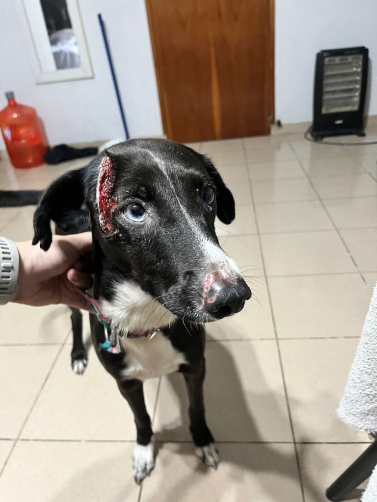 WhatsApp Image 2026-04-27 at 09.32