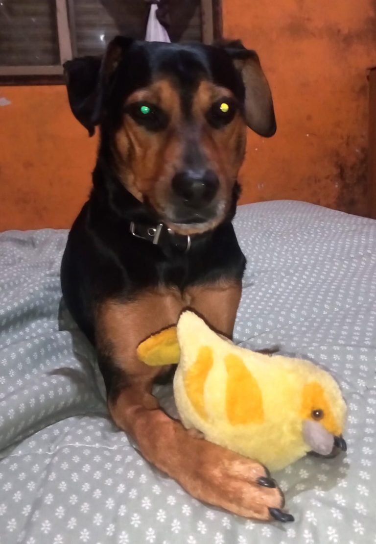 WhatsApp Image 2026-04-27 at 11.07