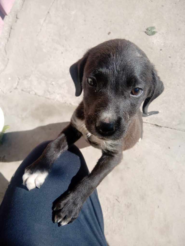 WhatsApp Image 2026-04-28 at 14.18