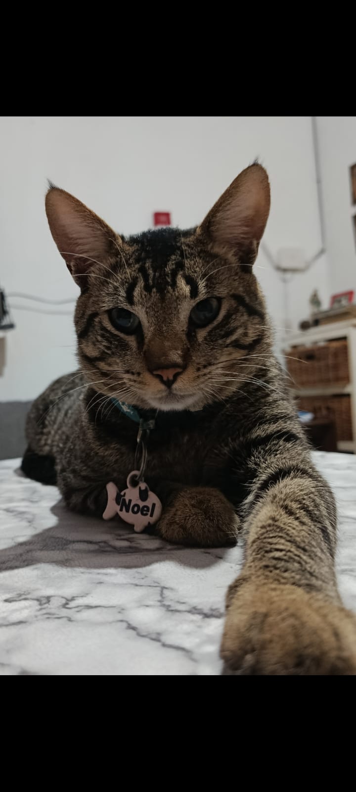 WhatsApp Image 2026-04-28 at 15.47