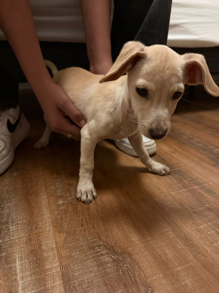 WhatsApp Image 2026-04-28 at 22.39