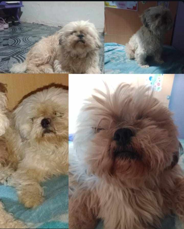 MATHEO
