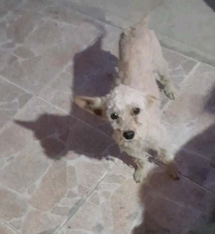 image-1755587069189097