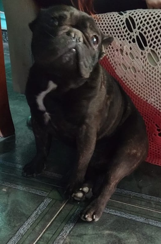 1000476305