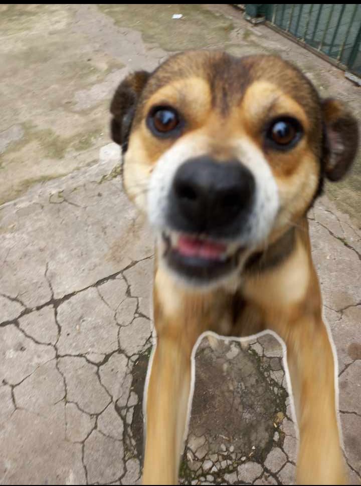 746058091_2011212946169251_3488216604951640935_n