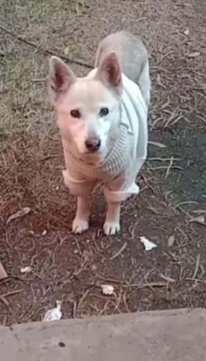 752923734_1693171148607392_8023355409566982949_n