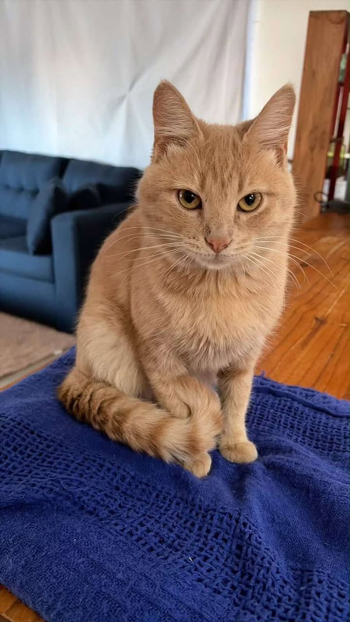 Antonio