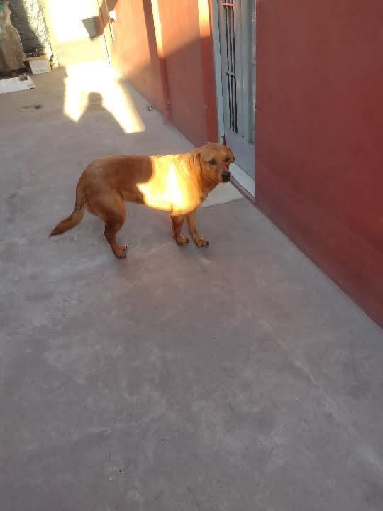WhatsApp Image 2026-07-08 at 11.02