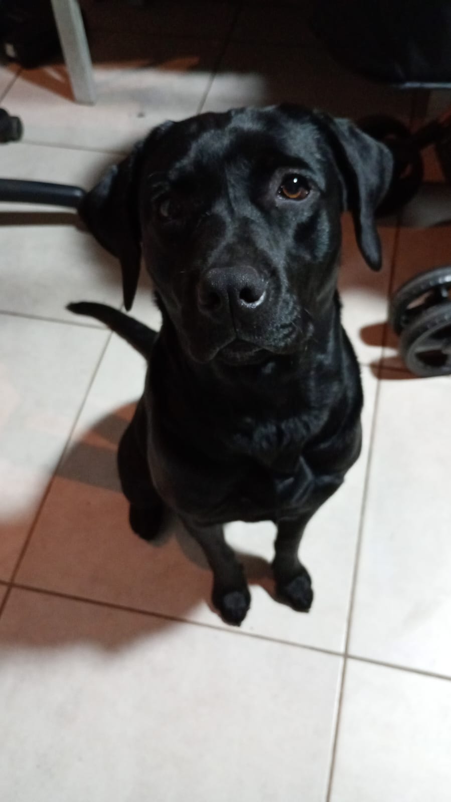 Luna