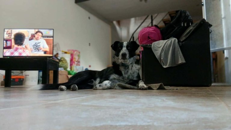image-970951379276853