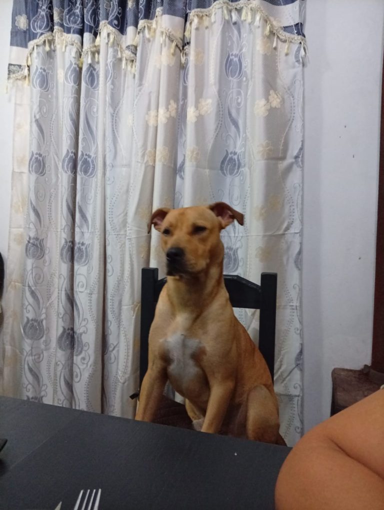 WhatsApp Image 2026-08-31 at 14.40