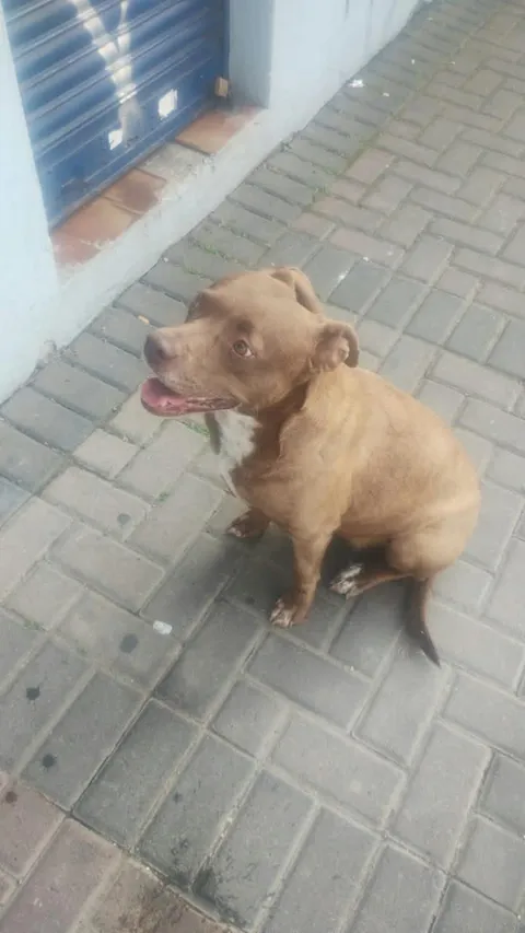 Sofía